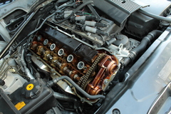 IMG_9148.JPGのサムネール画像